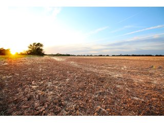 Garfield, County, Oklahoma farmland - LAND AUCTION - 160+/- ACRES OFFERED IN 2 TRACTS IN GARFIELD COUNTY, OKLAHOMA